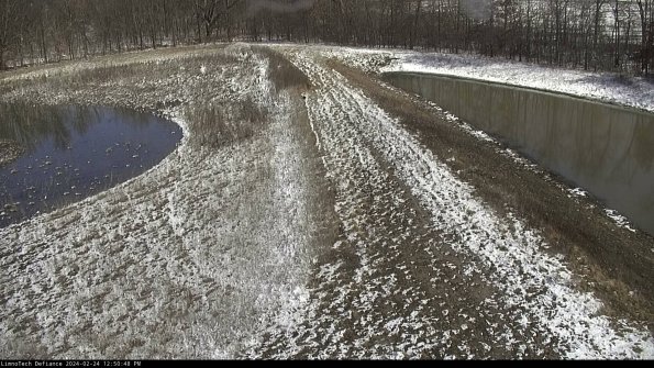 Cell 4 to Basin_24-02-24_12-50-48-94