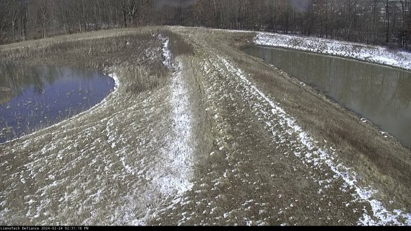 Cell 4 to Basin_24-02-24_14-31-16-95