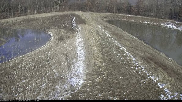 Cell 4 to Basin_24-02-24_16-11-45-90