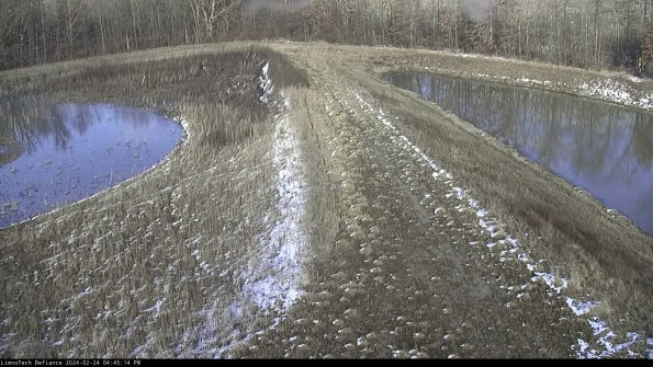 Cell 4 to Basin_24-02-24_16-45-14-92