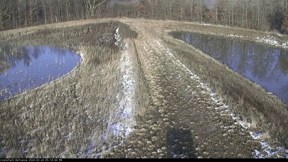 Cell 4 to Basin_24-02-24_17-18-44-93