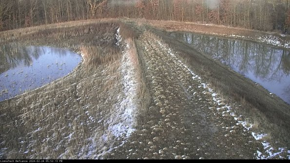 Cell 4 to Basin_24-02-24_17-52-13-95