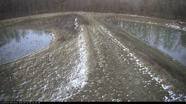 Cell 4 to Basin_24-02-24_18-25-42-93