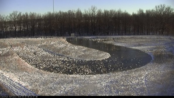 Cell 4_24-02-24_08-22-21-91