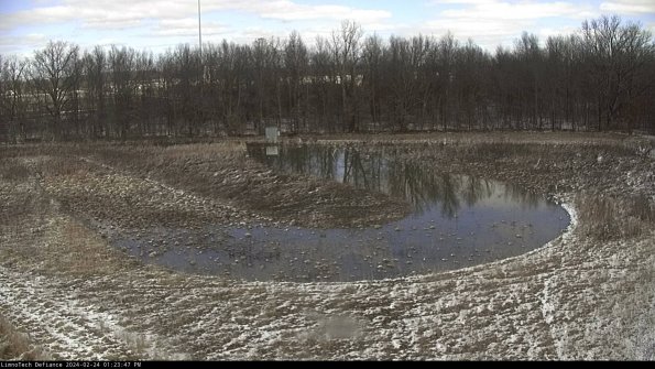 Cell 4_24-02-24_13-23-47-92