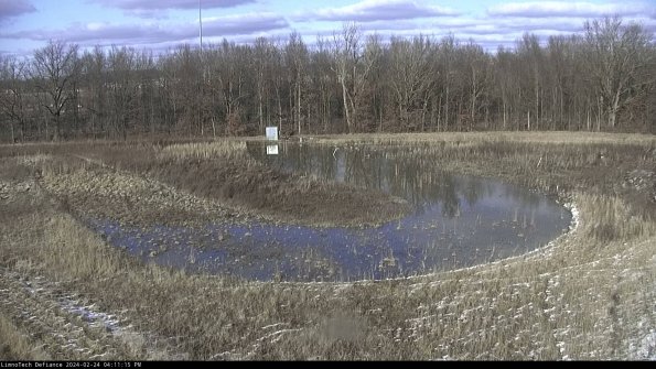 Cell 4_24-02-24_16-11-15-94