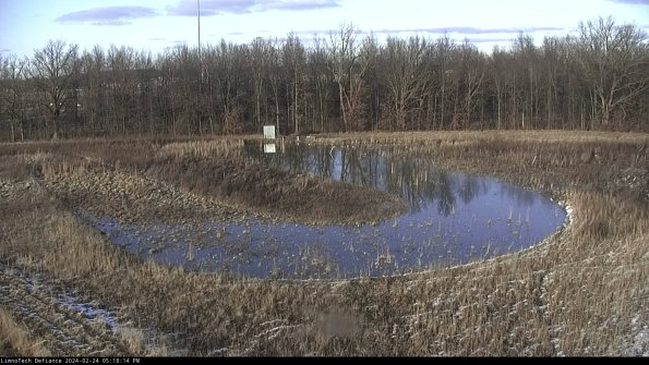 Cell 4_24-02-24_17-18-14-93