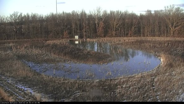 Cell 4_24-02-24_17-51-43-92