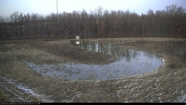 Cell 4_24-02-24_18-25-12-93