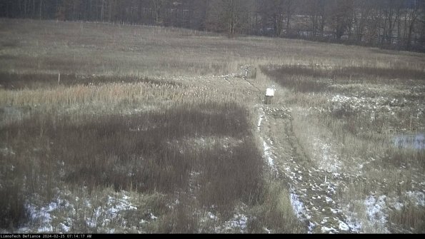 Cell 1 to 2_24-02-25_07-14-17-90