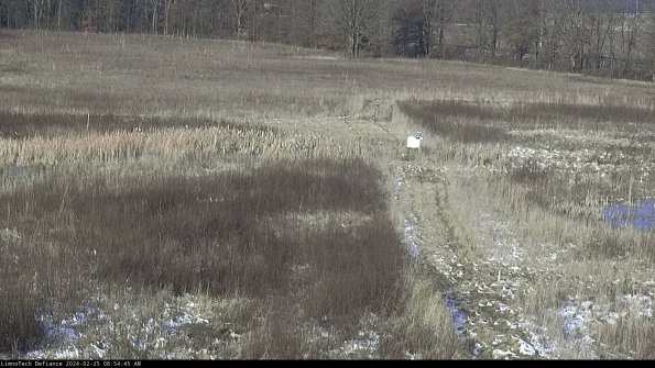 Cell 1 to 2_24-02-25_08-54-45-93