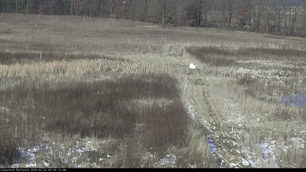 Cell 1 to 2_24-02-25_09-28-15-95