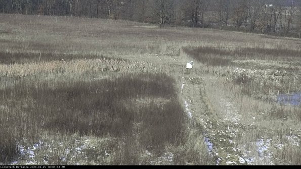 Cell 1 to 2_24-02-25_10-01-43-93