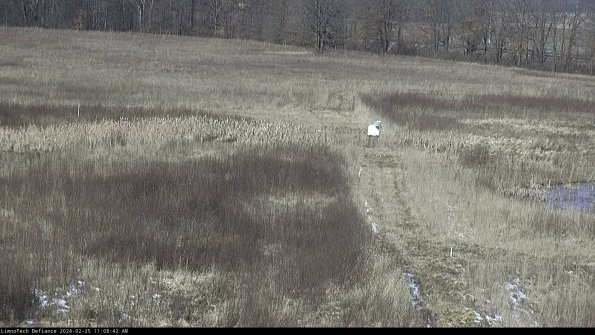 Cell 1 to 2_24-02-25_11-08-42-93