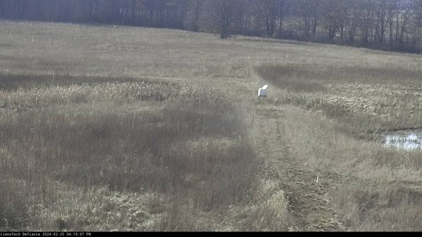 Cell 1 to 2_24-02-25_16-10-07-92