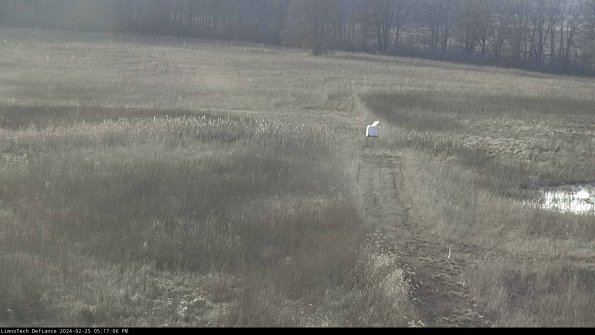 Cell 1 to 2_24-02-25_17-17-06-93