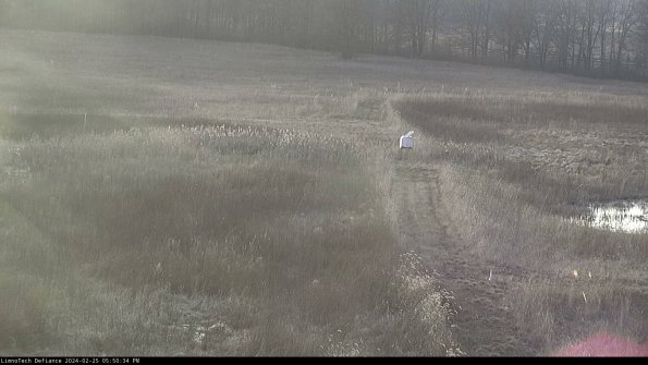 Cell 1 to 2_24-02-25_17-50-34-94