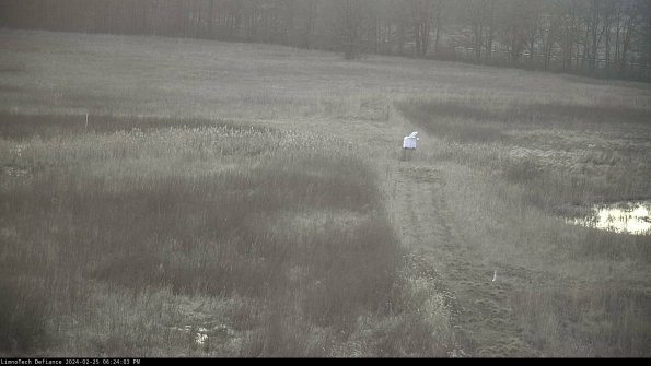 Cell 1 to 2_24-02-25_18-24-03-93