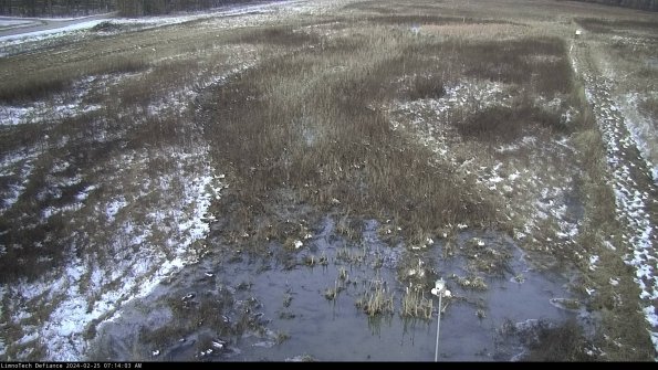 Cell 1_24-02-25_07-14-03-92