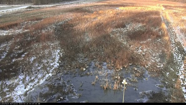 Cell 1_24-02-25_07-47-33-93