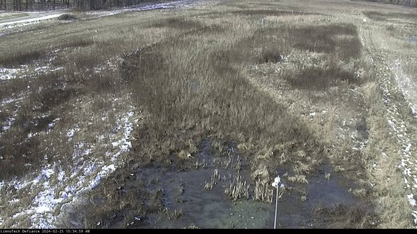 Cell 1_24-02-25_10-34-59-93