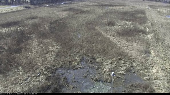 Cell 1_24-02-25_13-55-55-93