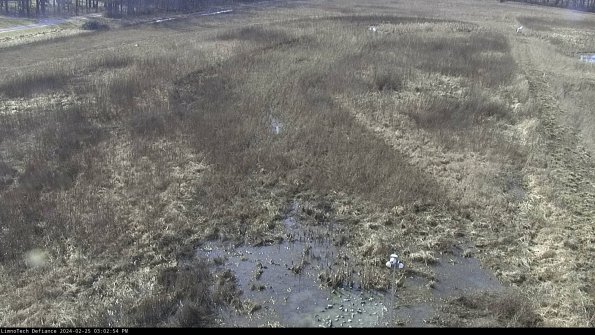 Cell 1_24-02-25_15-02-54-90