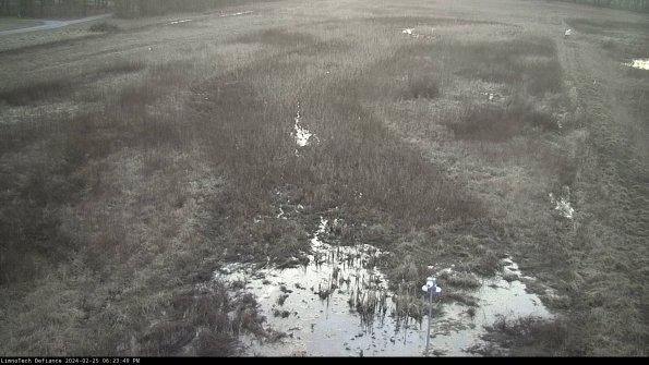 Cell 1_24-02-25_18-23-49-95