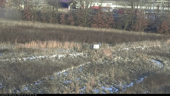 Cell 2 to 3_24-02-25_07-48-14-04