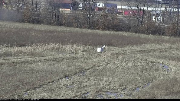 Cell 2 to 3_24-02-25_13-56-36-14