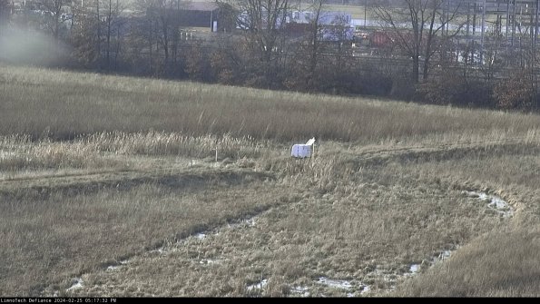 Cell 2 to 3_24-02-25_17-17-32-95