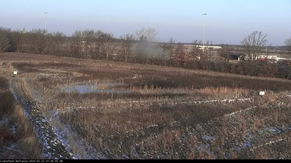 Cell 2_24-02-25_07-48-00-96