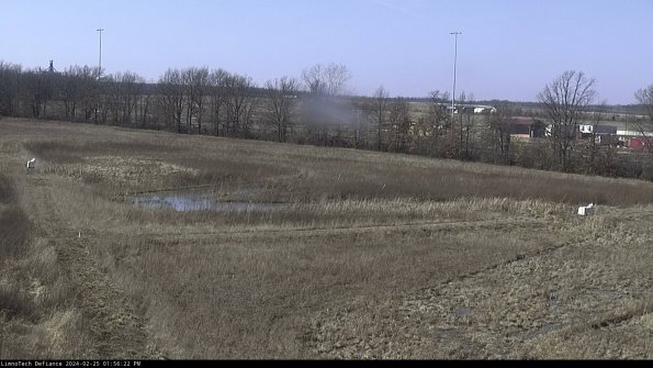 Cell 2_24-02-25_13-56-22-99