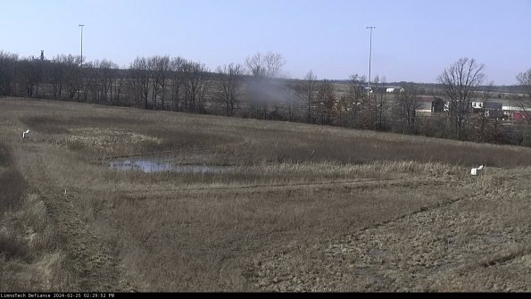 Cell 2_24-02-25_14-29-52-95