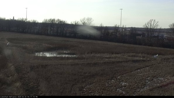 Cell 2_24-02-25_17-17-19-94