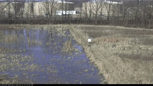 Cell 3 to 4_24-02-25_13-57-04-94