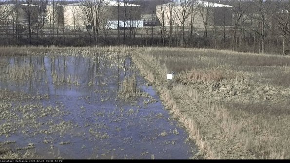 Cell 3 to 4_24-02-25_15-37-32-92