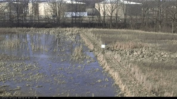 Cell 3 to 4_24-02-25_16-11-01-91