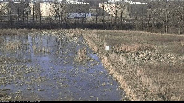 Cell 3 to 4_24-02-25_16-44-31-93