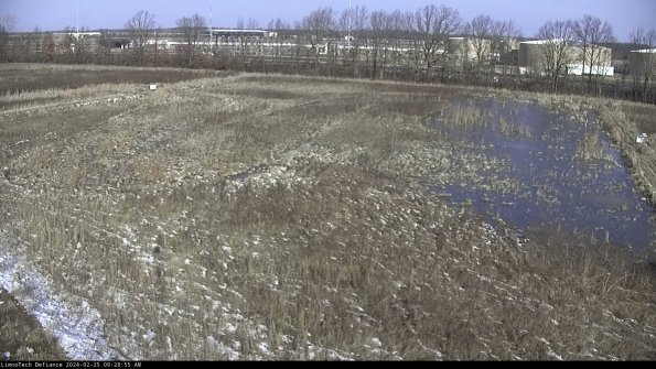 Cell 3_24-02-25_09-28-56-12