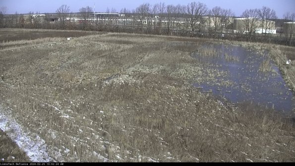 Cell 3_24-02-25_10-02-24-90