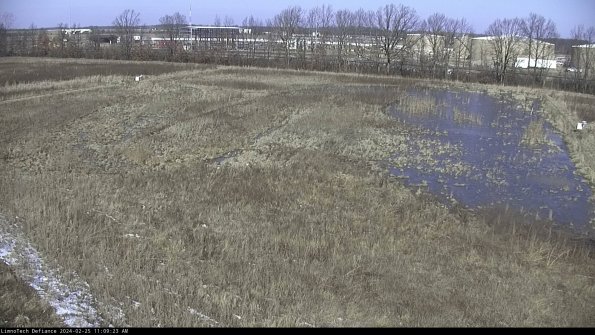 Cell 3_24-02-25_11-09-23-94