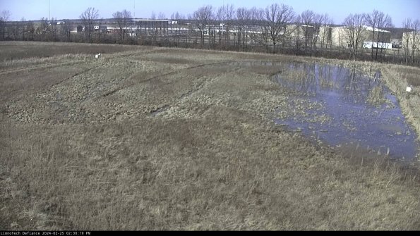 Cell 3_24-02-25_14-30-20-17