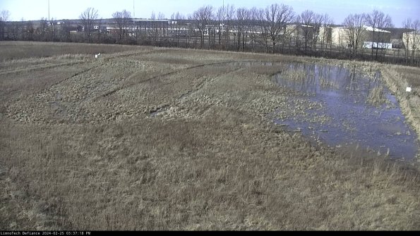 Cell 3_24-02-25_15-37-18-94