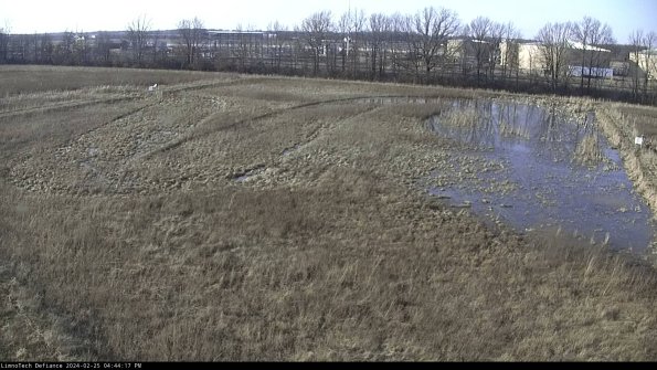 Cell 3_24-02-25_16-44-17-92