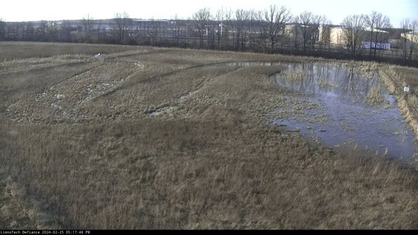 Cell 3_24-02-25_17-17-47-13