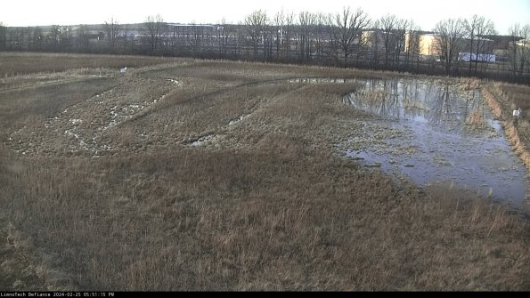 Cell 3_24-02-25_17-51-15-92