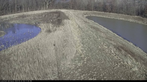 Cell 4 to Basin_24-02-25_16-11-45-92