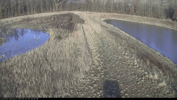 Cell 4 to Basin_24-02-25_17-18-44-93