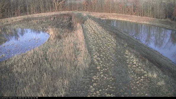 Cell 4 to Basin_24-02-25_17-52-13-94